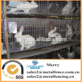 Galvanized square welded chicken/rabbit/mink cage wire mesh animal cage welded wire mesh